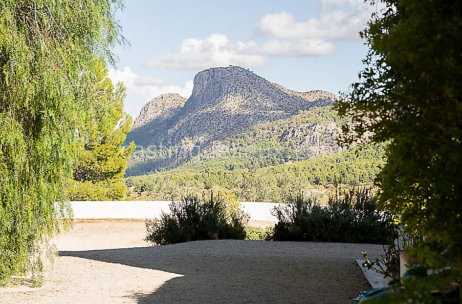 castingdelieux49FR040