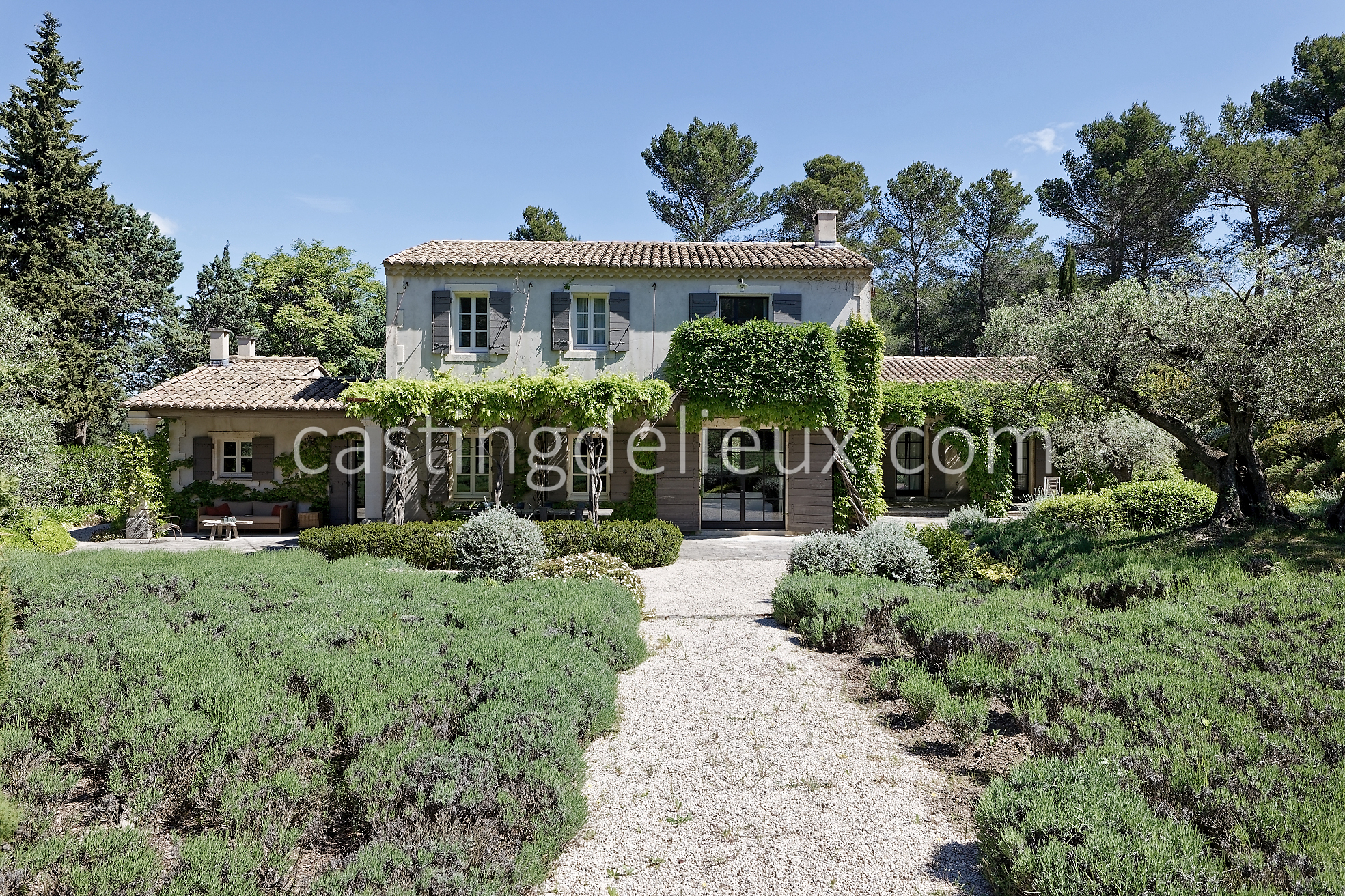 castingdelieux4FR037W