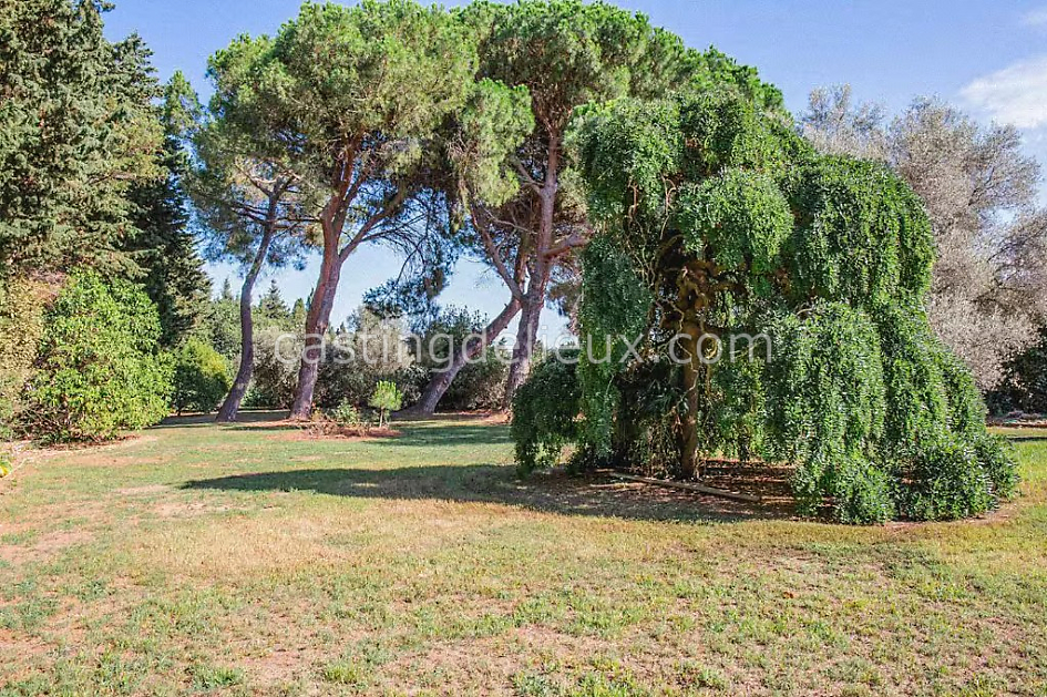 castingdelieux50FR056