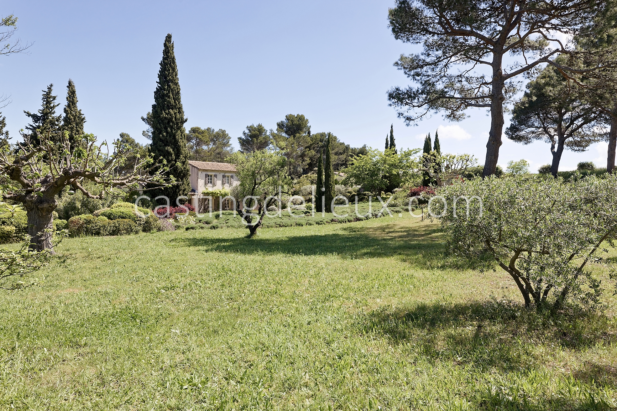 castingdelieux52FR037W