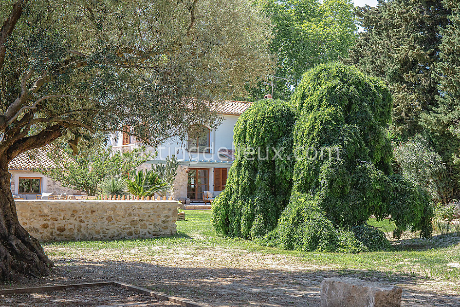 castingdelieux52FR056