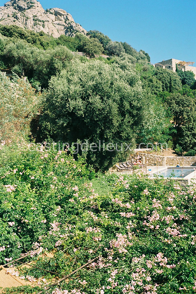 castingdelieux52FR057