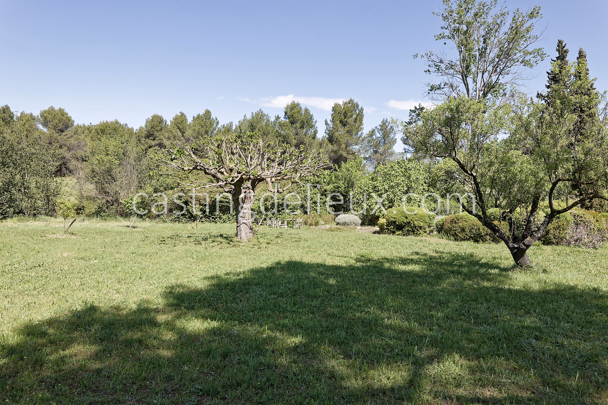 castingdelieux54FR037W