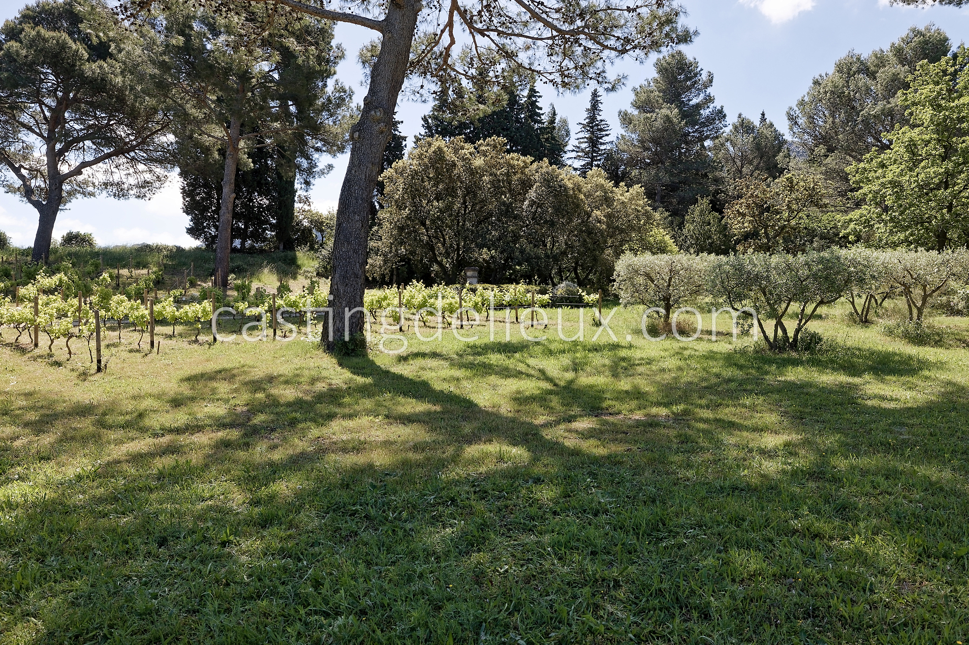 castingdelieux55FR037W