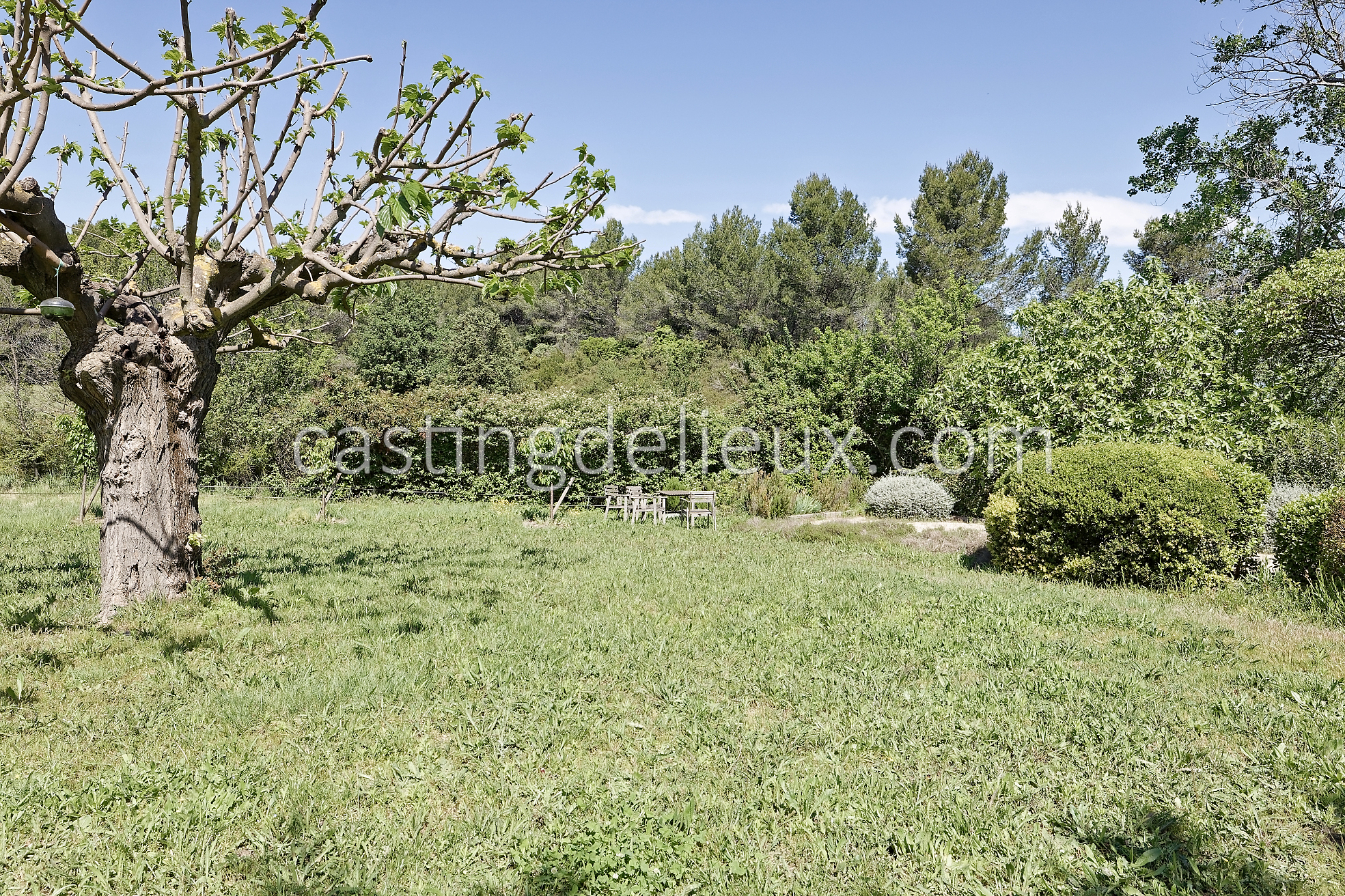 castingdelieux56FR037W