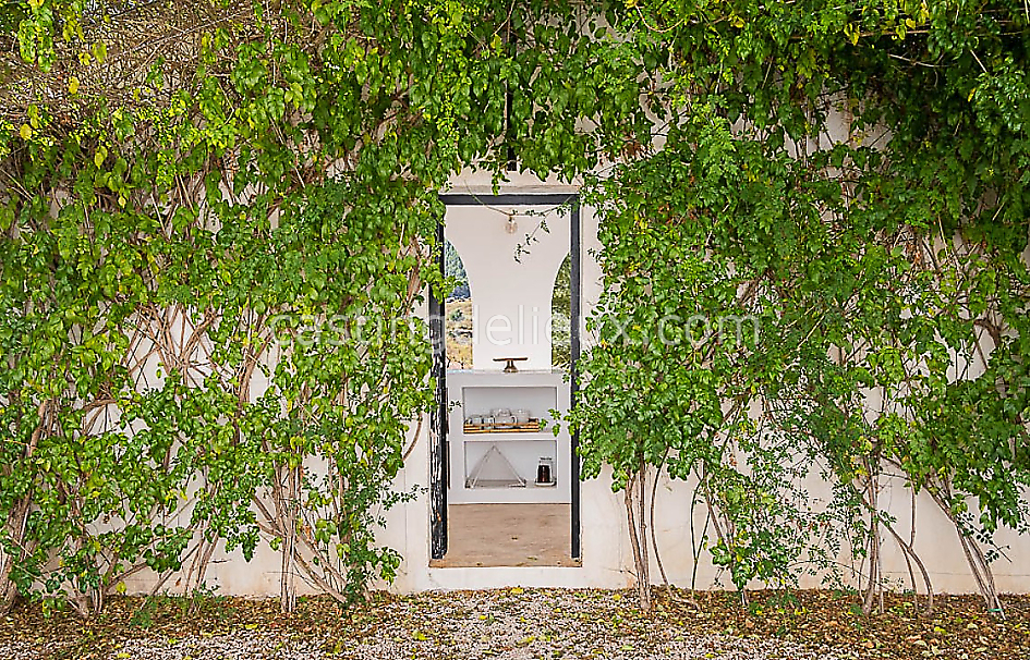 castingdelieux59FR040