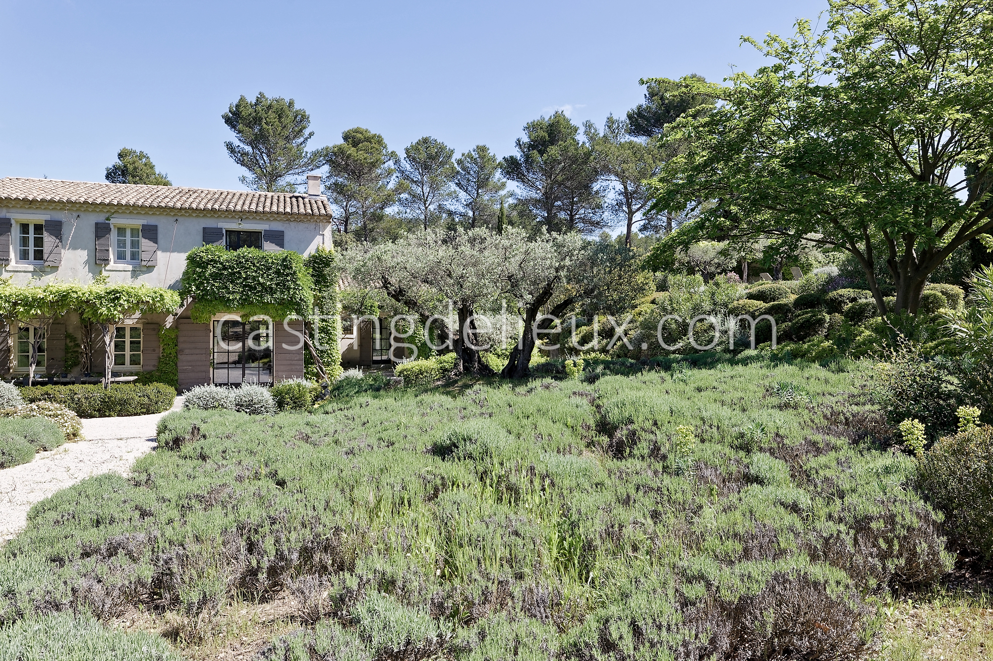 castingdelieux5FR037W