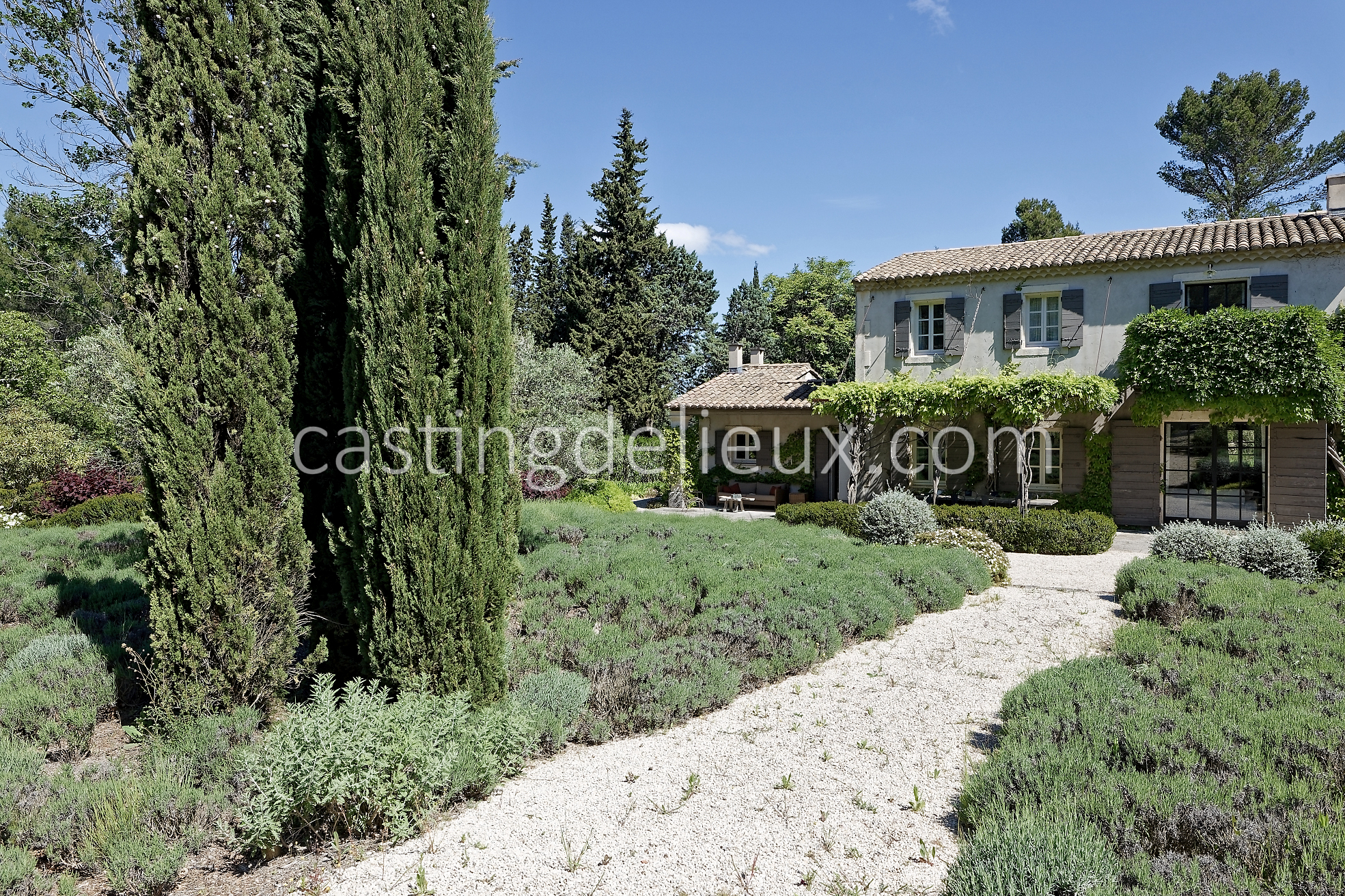 castingdelieux6FR037W