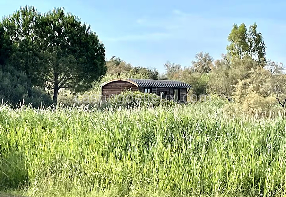 castingdelieux70FR055