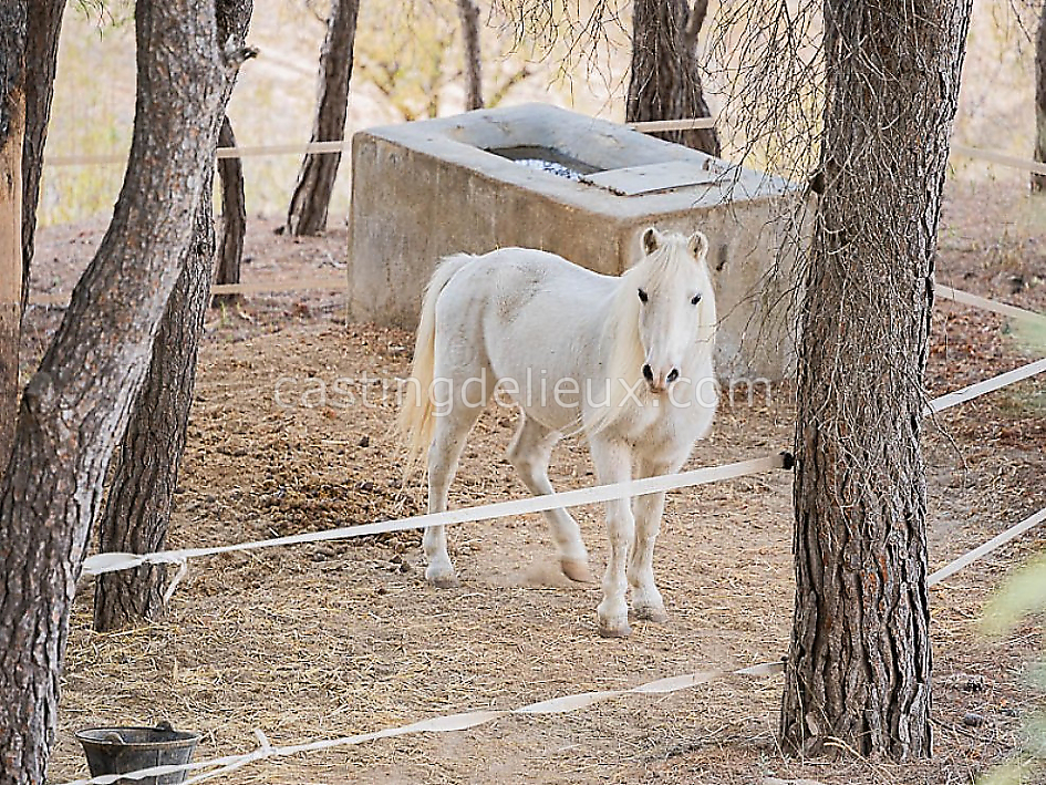 castingdelieux71FR040