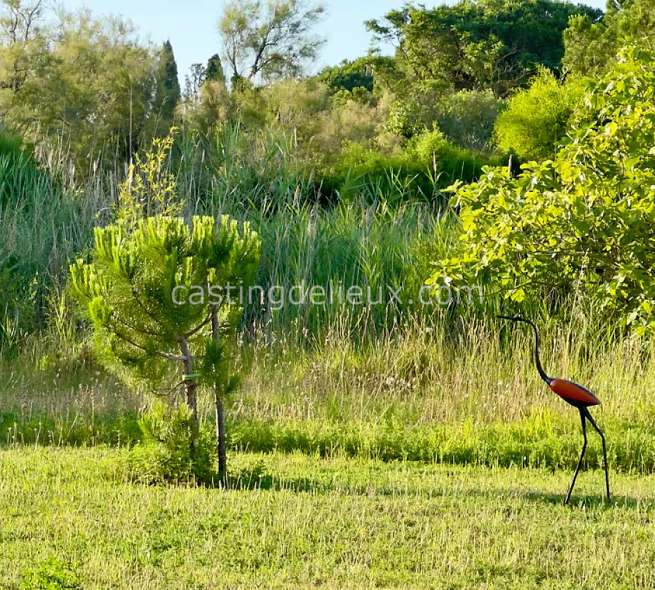 castingdelieux76FR055