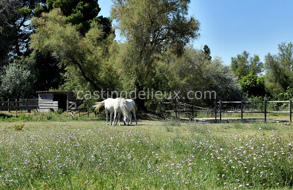 castingdelieux77FR055