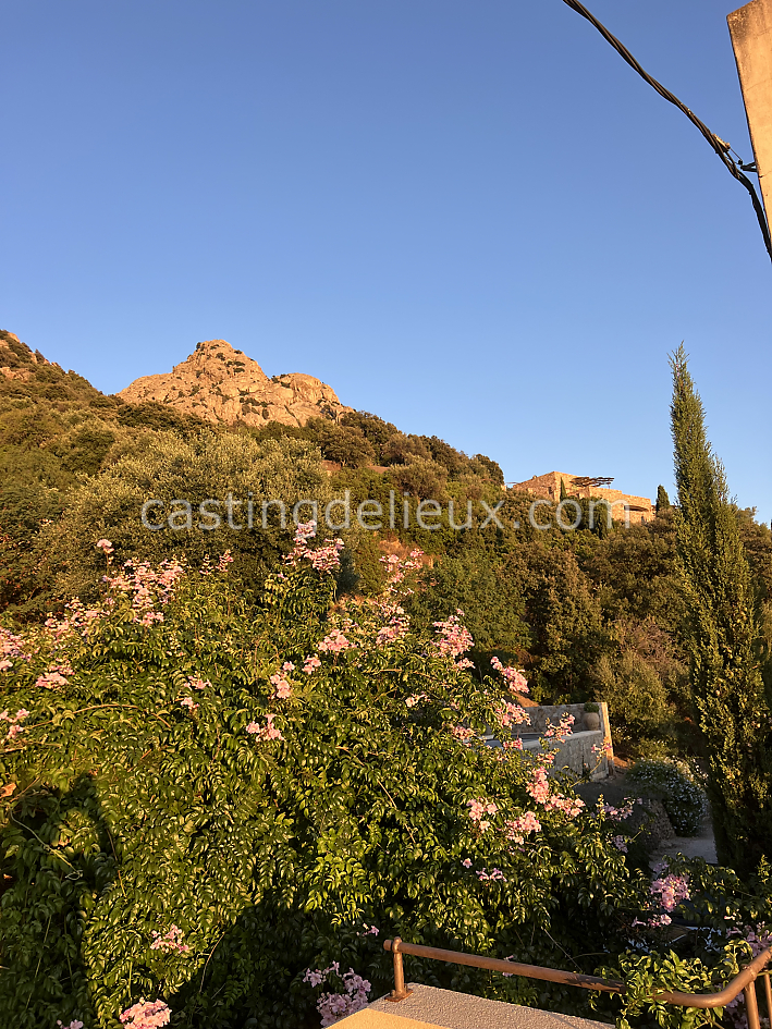 castingdelieux77FR057