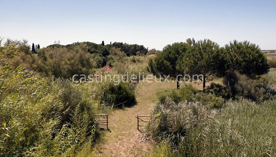 castingdelieux78FR055