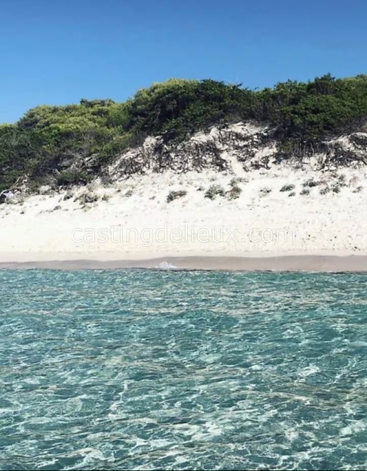 castingdelieux78FR057