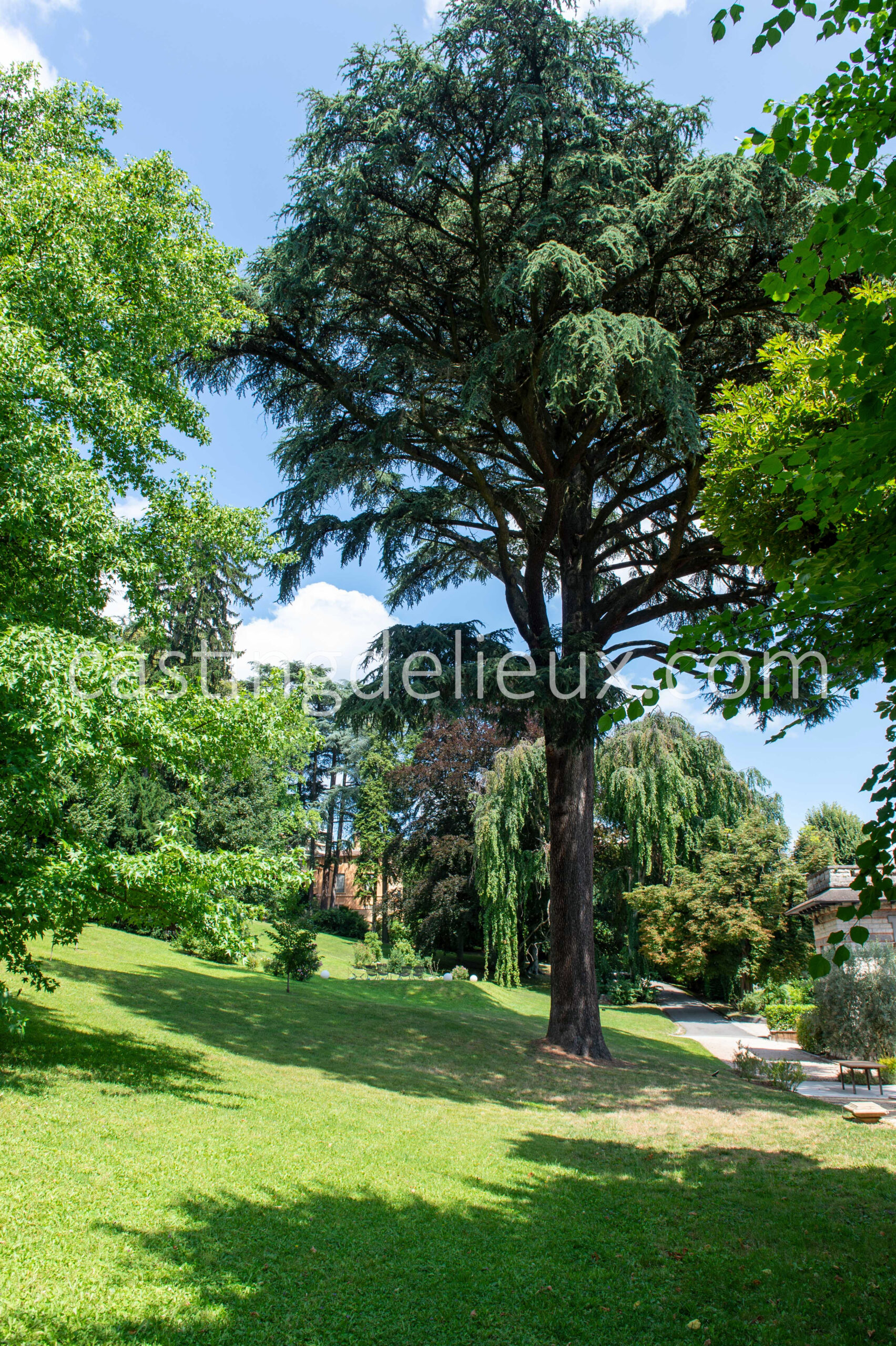 castingdelieux112-FR019-W