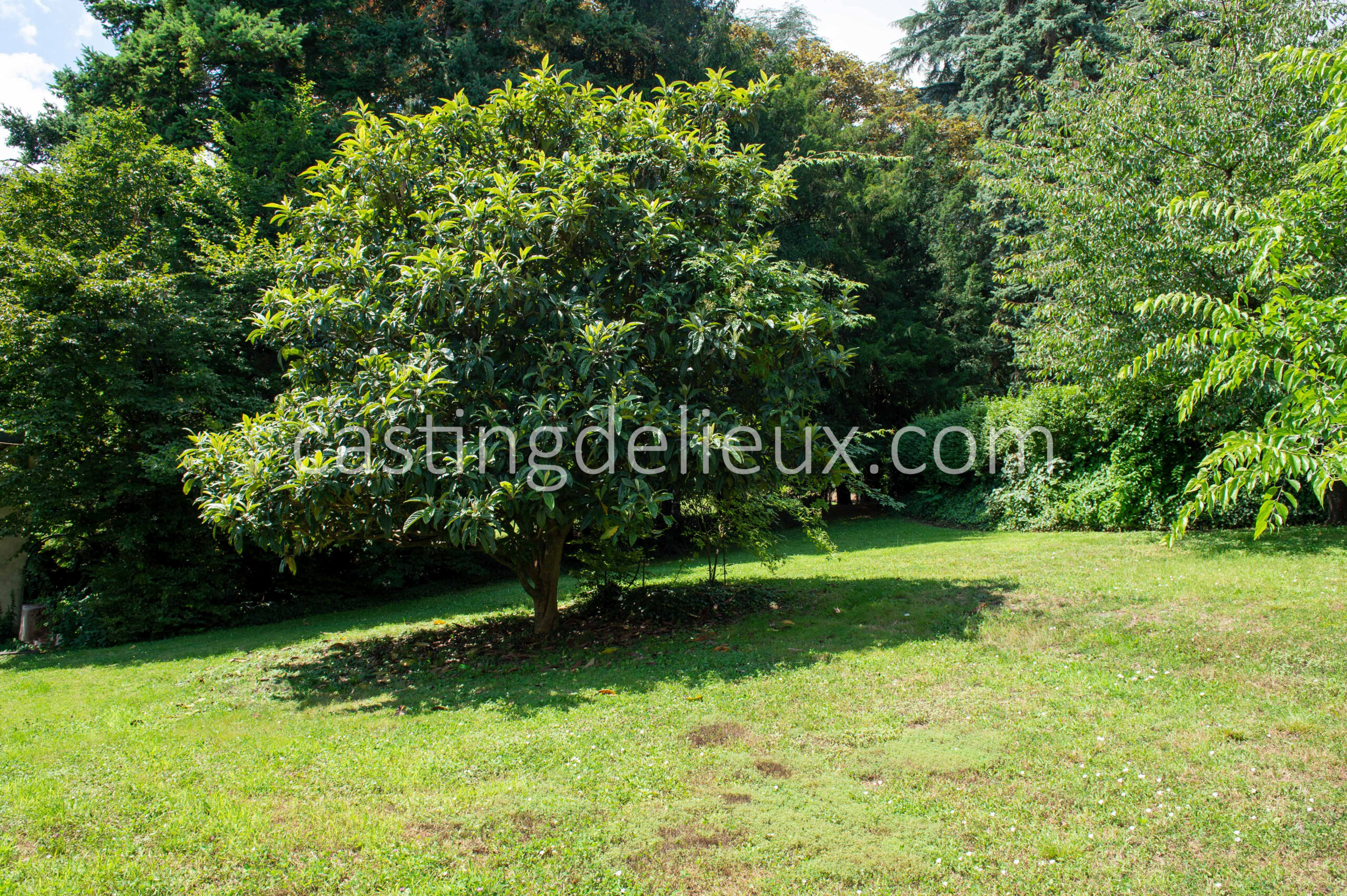 castingdelieux129-FR019-W