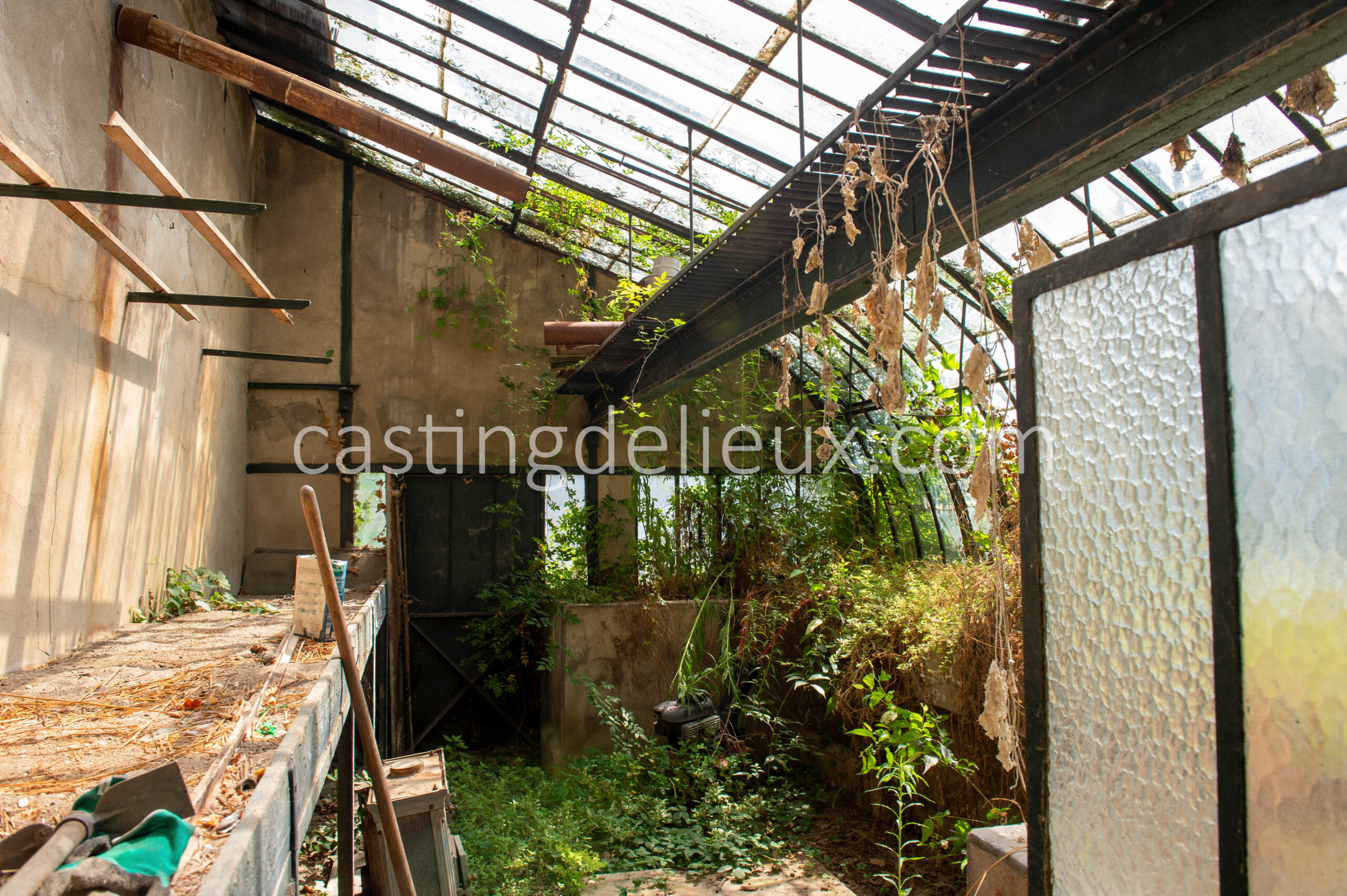 castingdelieux131-FR019-W