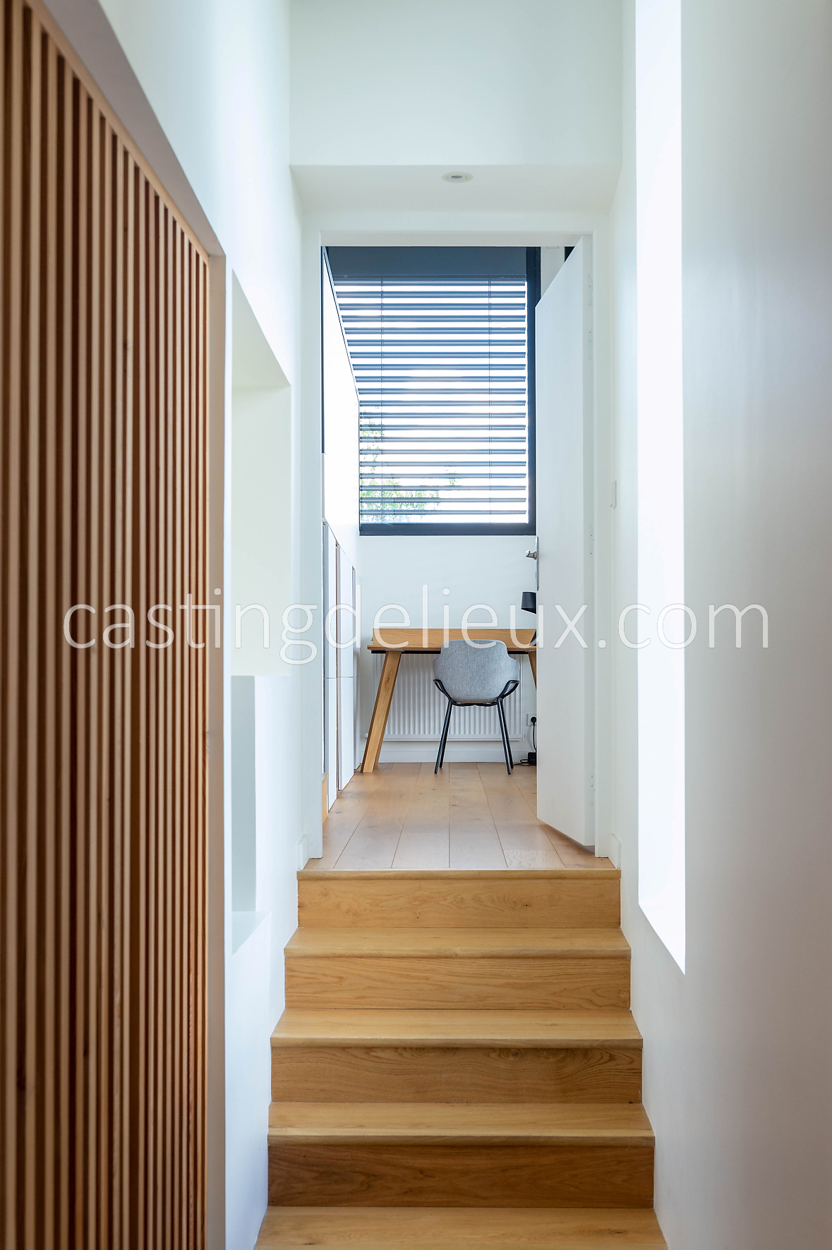 castingdelieux131-FR059-W