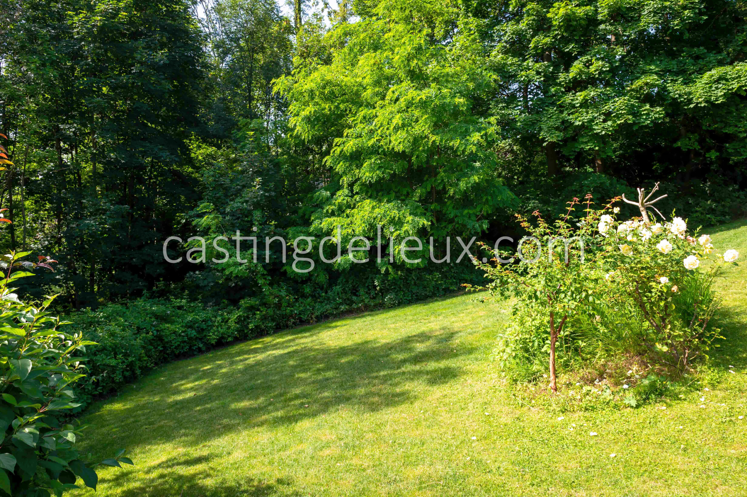 castingdelieux144-FR058-W