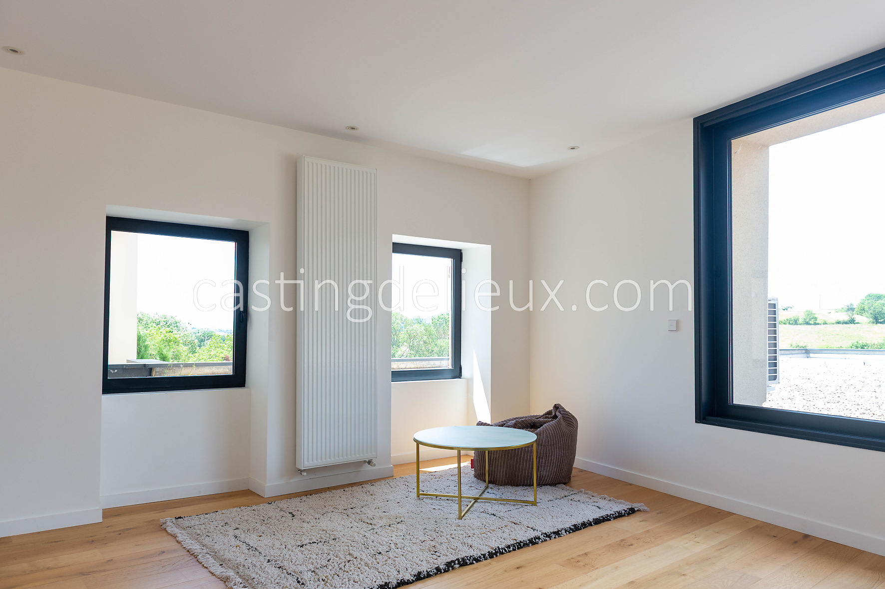 castingdelieux153-FR059-W