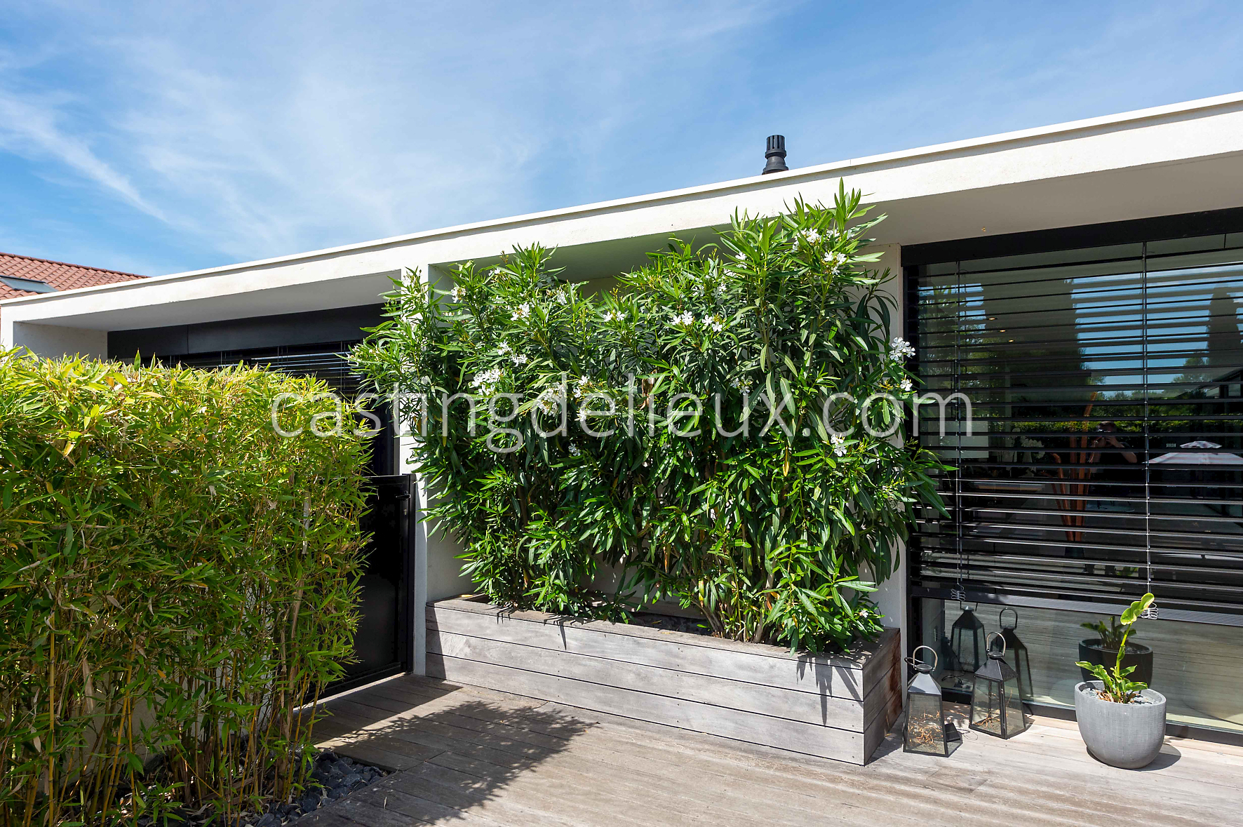 castingdelieux190-FR050-W-