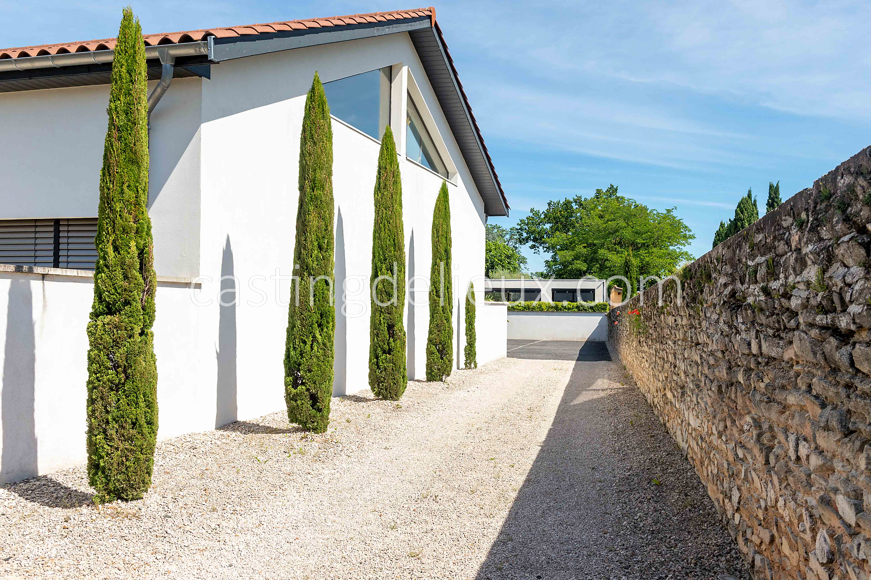 castingdelieux207-FR050-W-