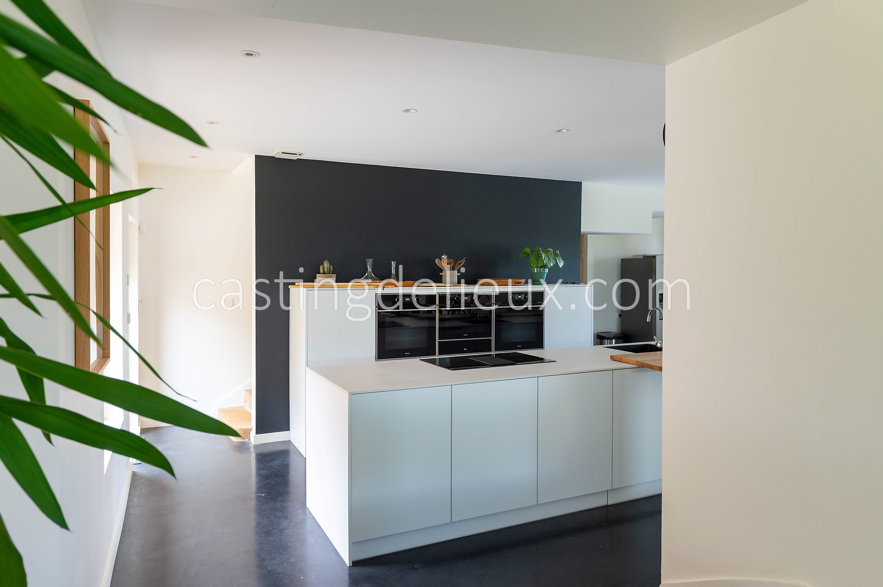 castingdelieux27-FR059-W