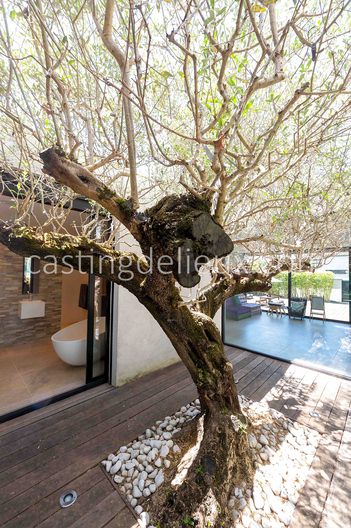 castingdelieux38-FR050-W-