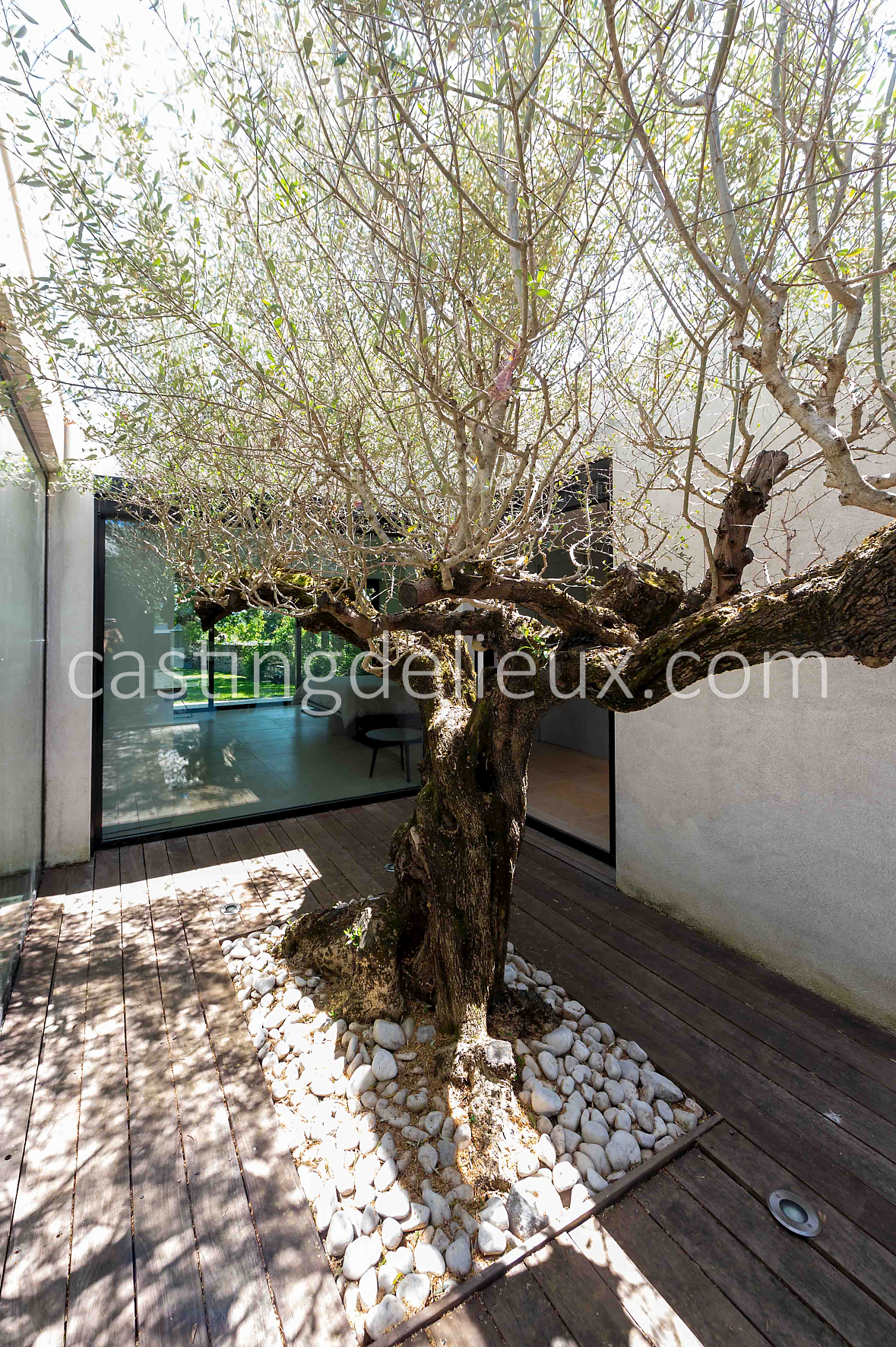 castingdelieux39-FR050-W-