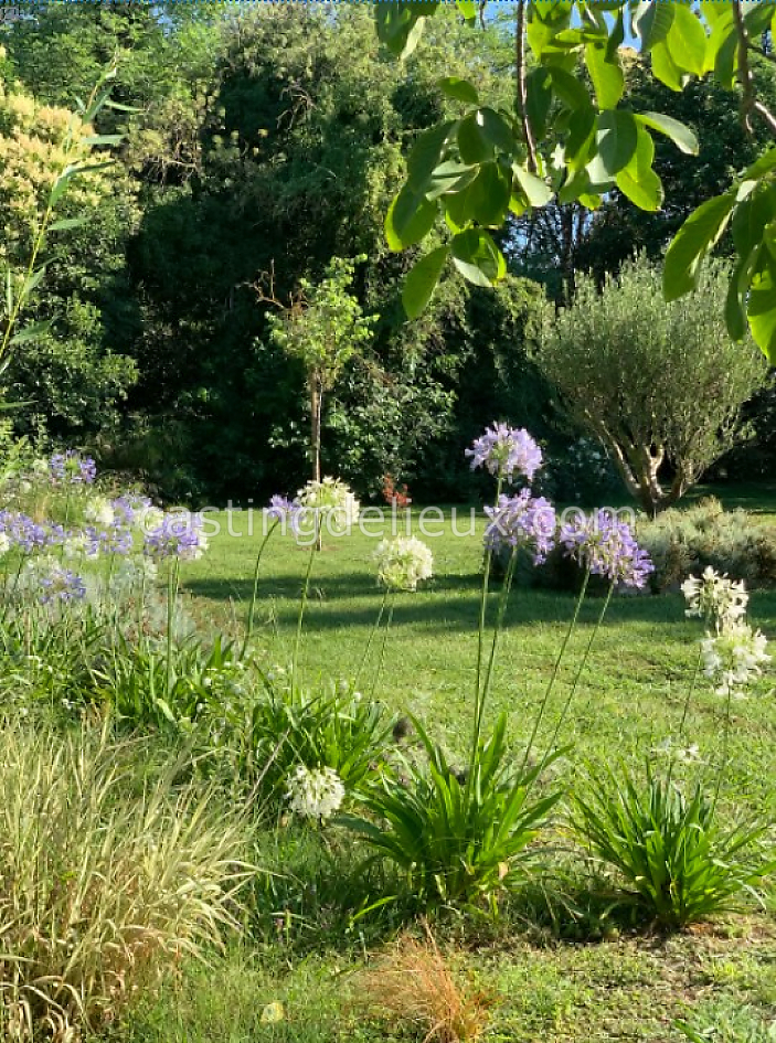 castingdelieux39FR066