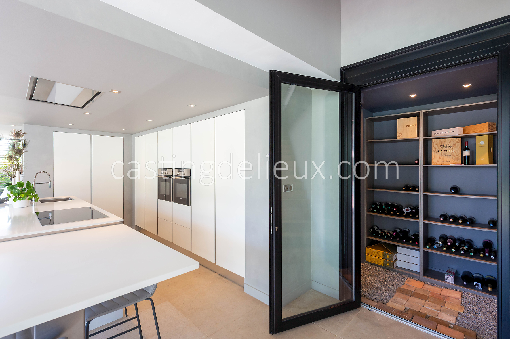 castingdelieux79-FR050-W-