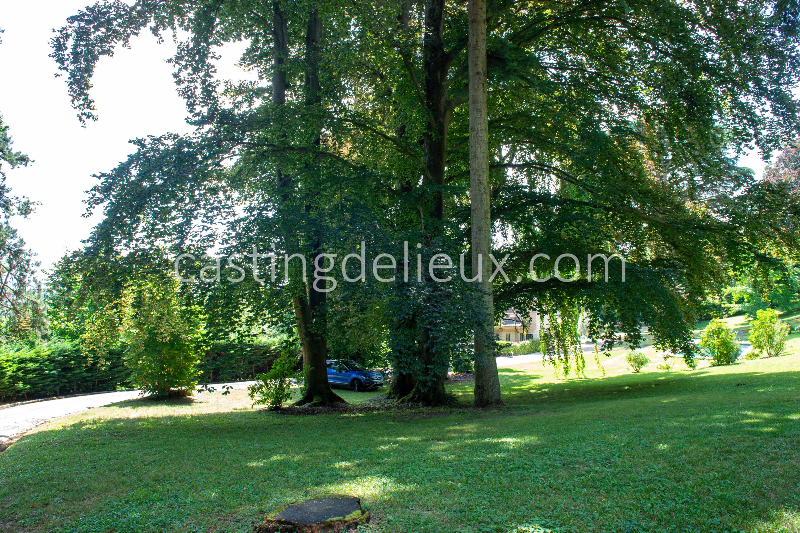 castingdelieux85-FR019-W