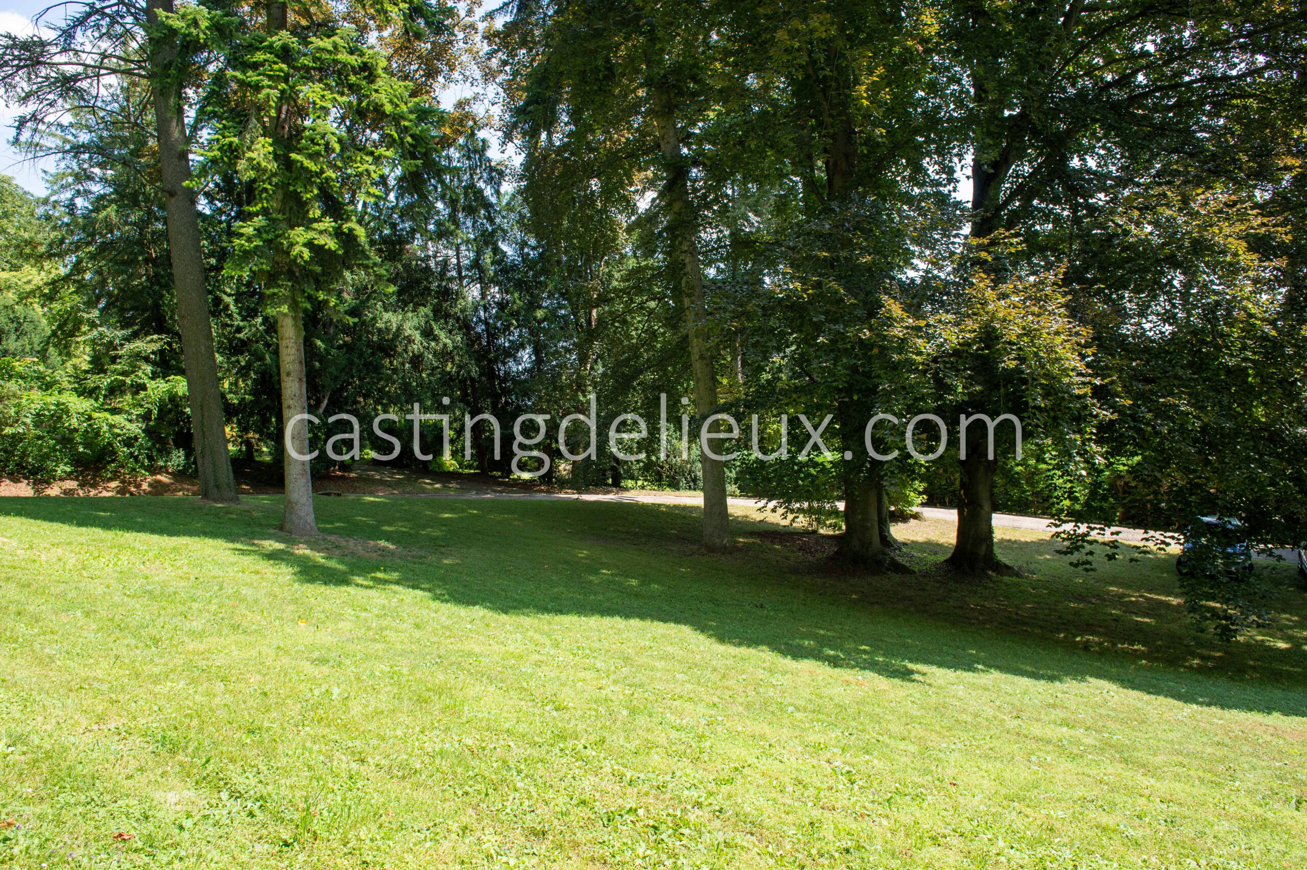 castingdelieux88-FR019-W