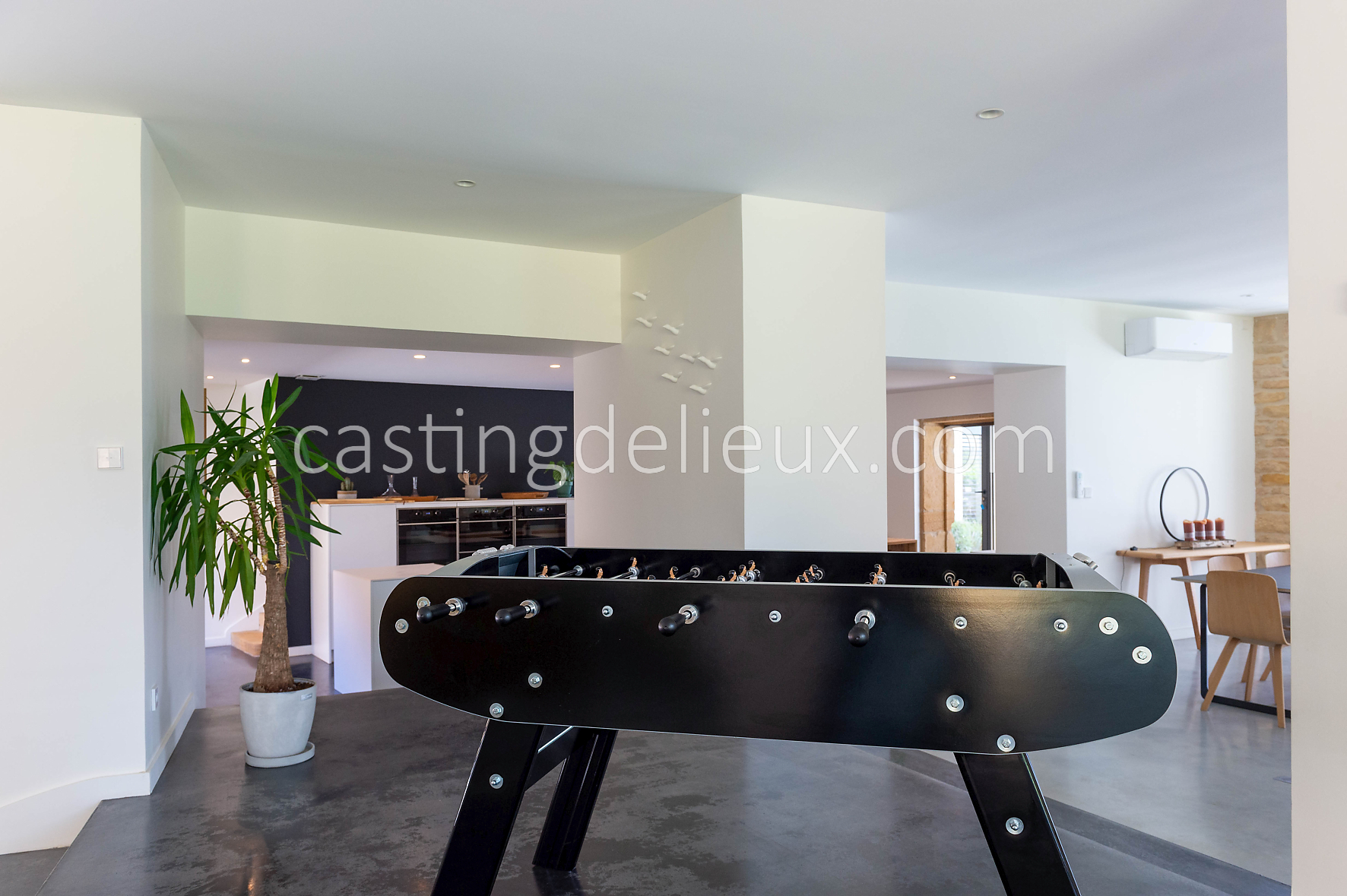 castingdelieux88-FR059-W